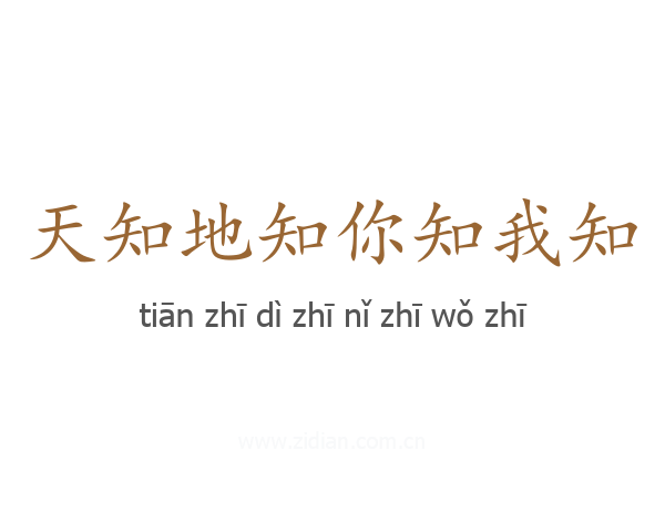 天知地知你知我知