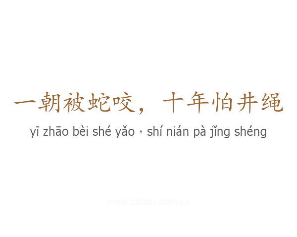 一朝被蛇咬，十年怕井绳